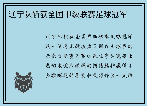 辽宁队斩获全国甲级联赛足球冠军